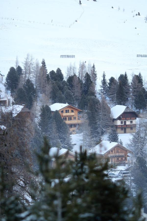 Heidi Chalets Falkert Heidialm - Chalet Almsommer Патергассен Экстерьер фото