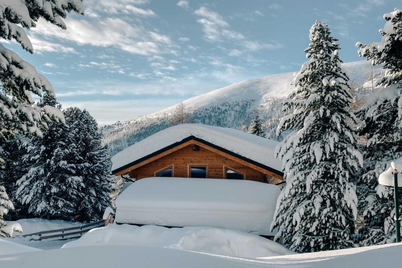 Heidi Chalets Falkert Heidialm - Chalet Almsommer Патергассен Экстерьер фото